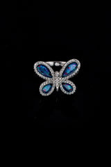 Nebula Flutter