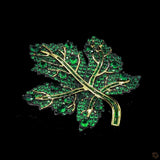 Verte Lumière