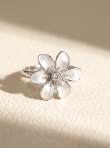 Fleur Blanche Éclat